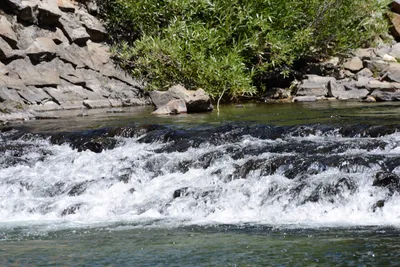 DSC_3621 (Large).JPG